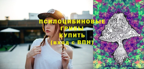 ПСИЛОЦИБИНОВЫЕ ГРИБЫ Армянск