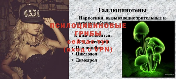 ПСИЛОЦИБИНОВЫЕ ГРИБЫ Армянск