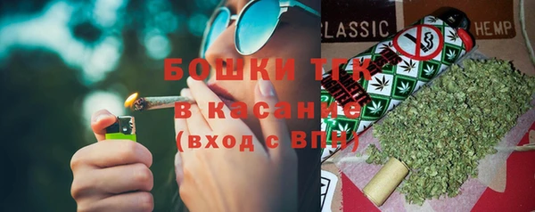 эйфоретик Арсеньев