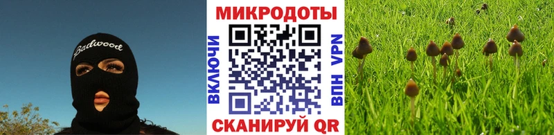 Галлюциногенные грибы Psilocybine cubensis  Собинка 